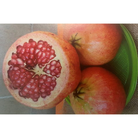 Punica granatum "Primo Sole" (Melograno) [Vaso 20cm]