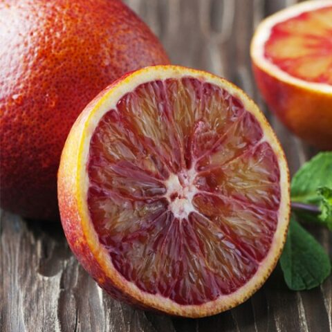 Arancio rosso "Sanguinello" [Vaso 15cm]