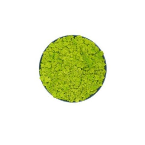 VERDE STABILIZZATO - Tondo Verde Chiaro