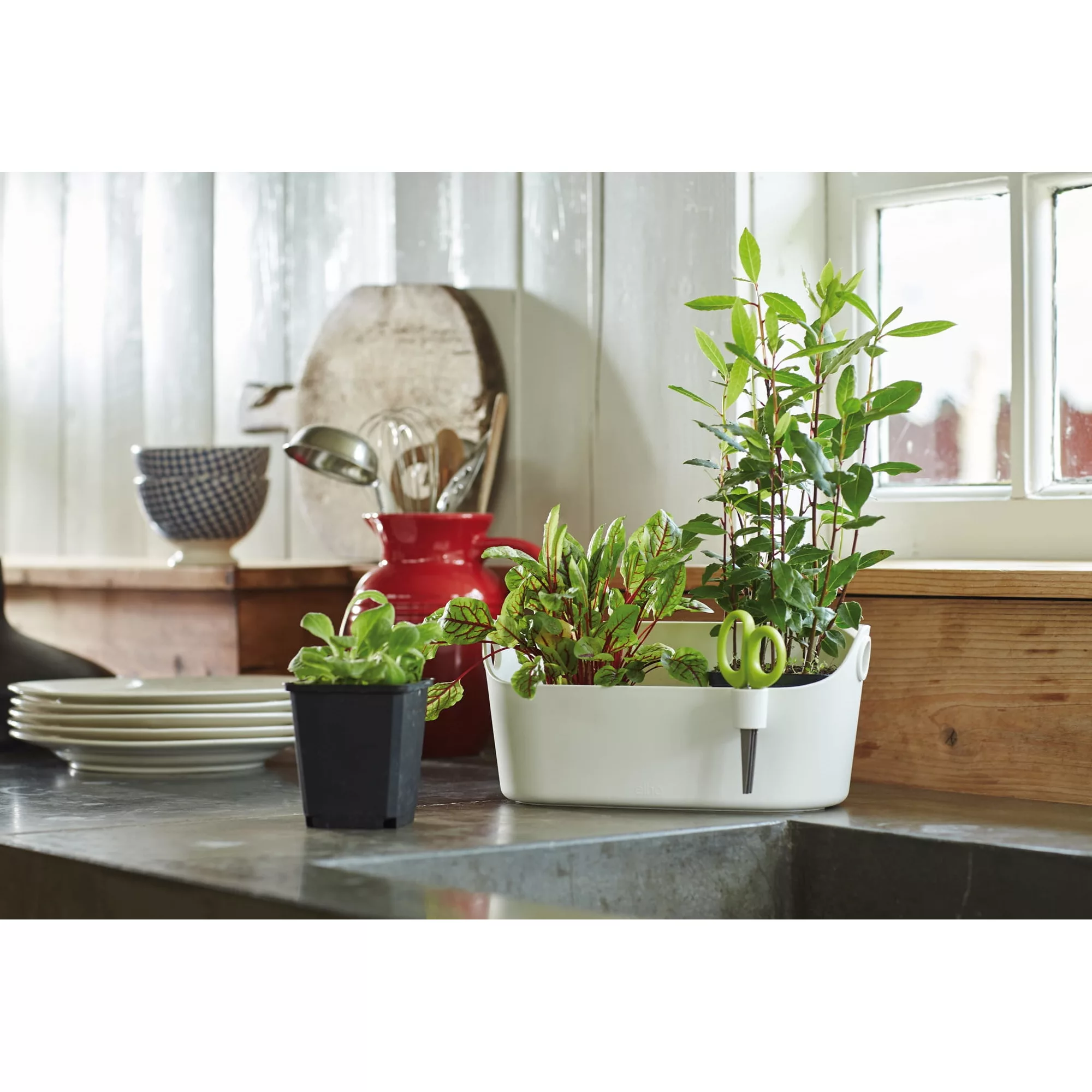 Supporto di coltivazione BRUSSELS HERBS STATION - Elho
