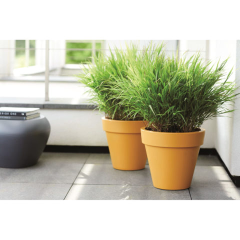 Vaso PURE ROUND - Elho