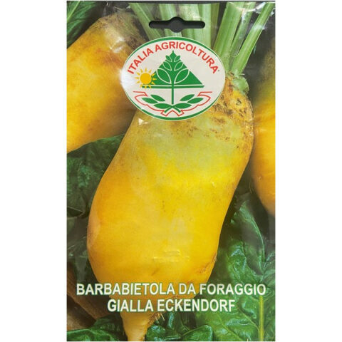 Barbabietola da foraggio gialla Eckendorf (Semente)