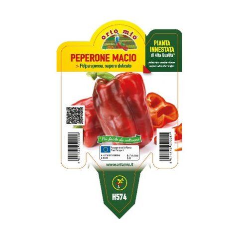 Peperone rosso "Macio F1" innestato [Vaso 14cm]