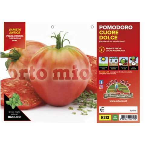 Pomodoro a Cuore di Bue "Cuoredolce F1" [1 Plateaux da 6]