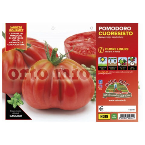 Pomodoro a cuore resistente cuore Ligure "Cuoresisto F1"