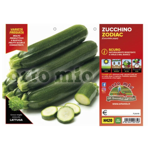 Zucchino scuro "Zodiac F1"