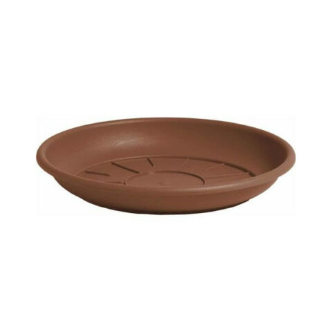 Sottovaso Nicoli Domus Tondo