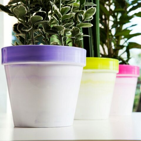 Vaso Idel Classic Shiny Pot Exclusive