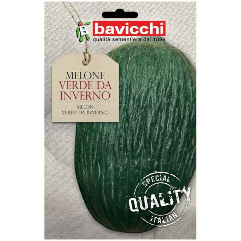 Melone verde da inverno (Semente)