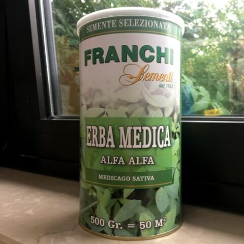 Erba medica o Erba spagna (Medicago sativa) - Alfalfa (Semente)