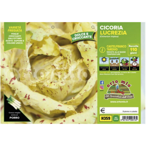 Cicoria e Radicchiovariegato di Castelfranco tardivo "Lucrezia" [1 Plateaux da 9]