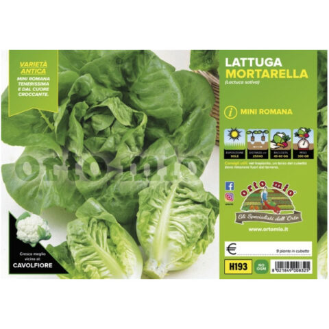 Lattuga mortarella [1 Plateaux da 9]