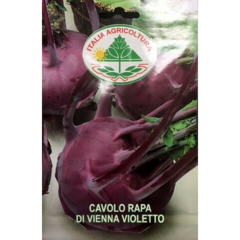 Cavolo rapa di Vienna Violetto (Semente)