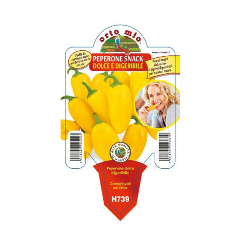 Peperone dolce snack "Triyello F1" [Vaso 10cm]