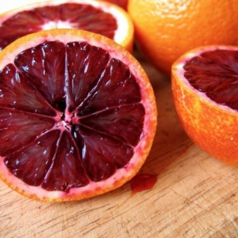 Arancio Fragola (Citrus sinensis "Fragola") [Vaso 20cm]