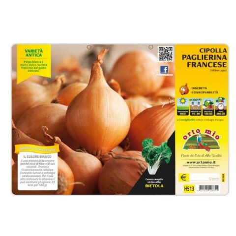 Cipolla dolce Paglierina Francese [1 Plateaux da 12]