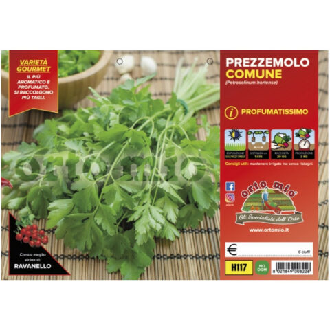 Prezzemolo comune profumato [1 Plateaux da 6]
