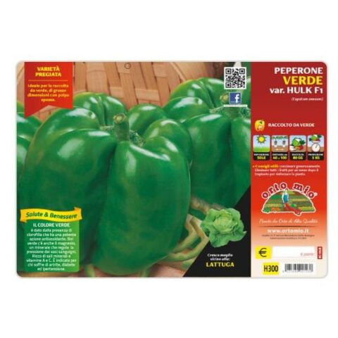 Peperone quadrato verde "HulkF1" [1 Plateaux da 6]