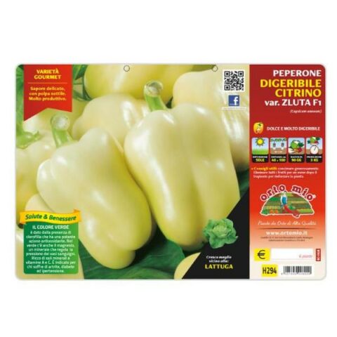 Peperone digeribile Citrino Zluta F1 [1 Plateaux da 6]