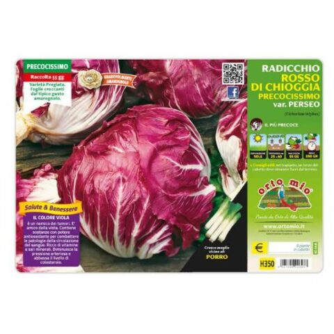 Cicoria e Radicchio Rosso di Chioggia "Perseo" [1 Plateaux da 9]
