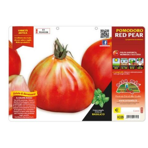 Pomodoro a Cuore Pera "Red Pear" (ex Pearson) [1 Plateaux da 6]