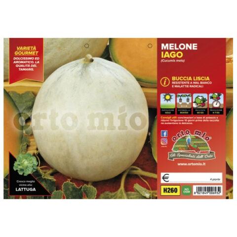 Melone liscio "Iago F1" [Vaso 10cm]