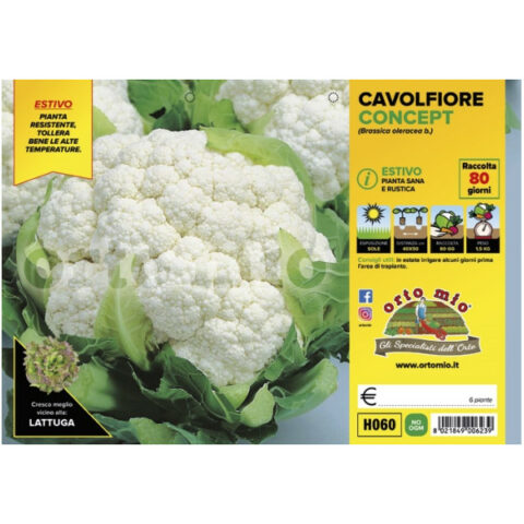 Cavolfiore estivo "ConceptF1" [1 Plateaux da 6]
