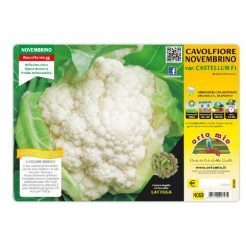 Cavolfiore novembrino "CastellumF1" [1 Plateaux da 6]
