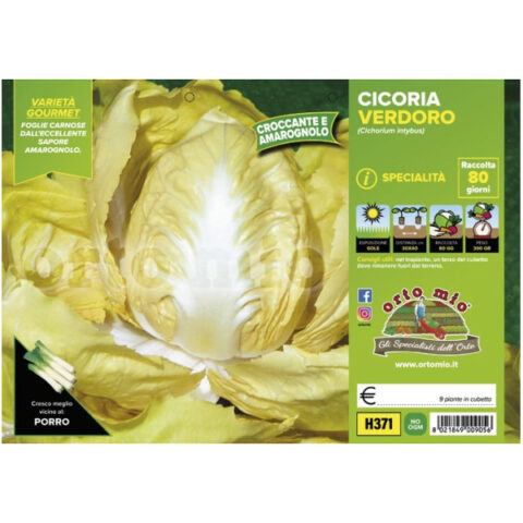 Cicoria e Radicchio giallo "Verdoro" [1 Plateaux da 9]