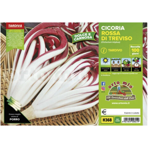 Cicoria e Radicchio Rosso di Treviso tardivo "Sile" [1 Plateaux da 9]