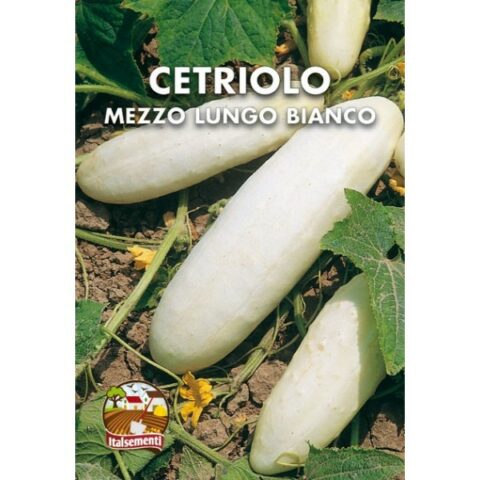 Cetriolo mezzo lungo bianco (Semente)