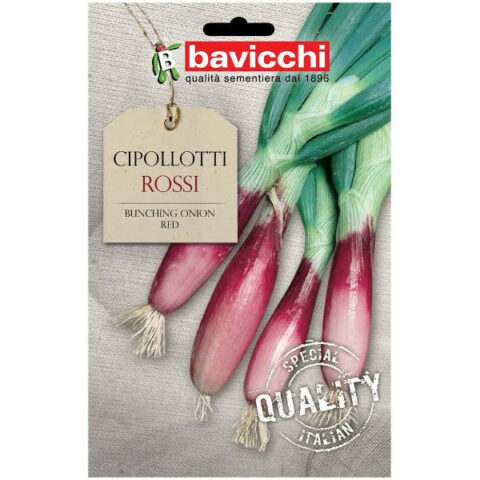 Cipollotti rossi (Semente)