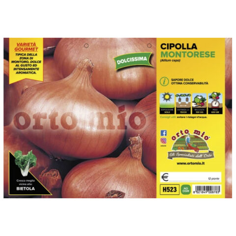 Cipolla ramata dolce piatta "Montorese" [1 Plateaux da 12]