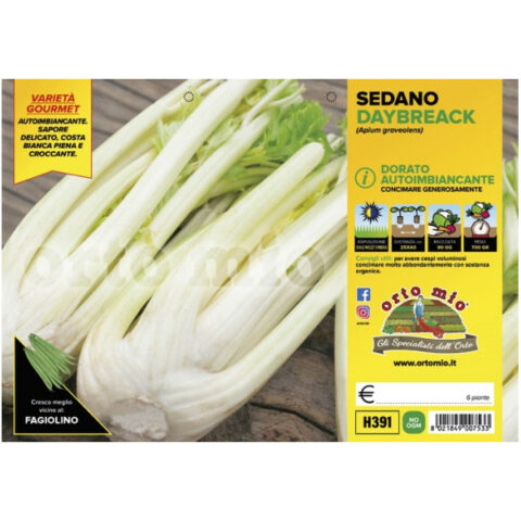 Sedano dorato autoimbiancante "Daybreack F1" [1 Plateaux da 6]