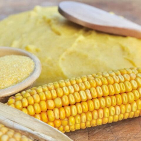 Mais da polenta [Vaso 14cm]