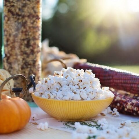 Mais da pop corn [Vaso 14cm]