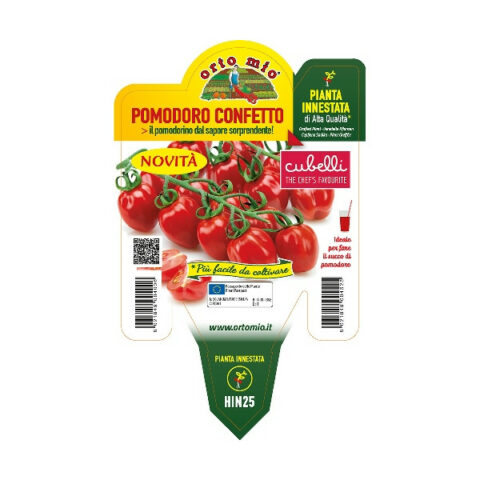 Pomodoro"Confetto F1" innestato [Vaso 14cm]