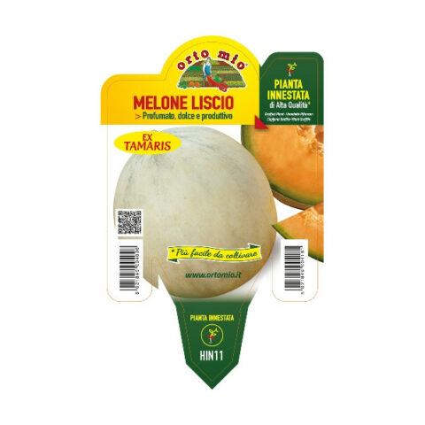 Melone liscio dolce F1 innestato [Vaso 14cm]