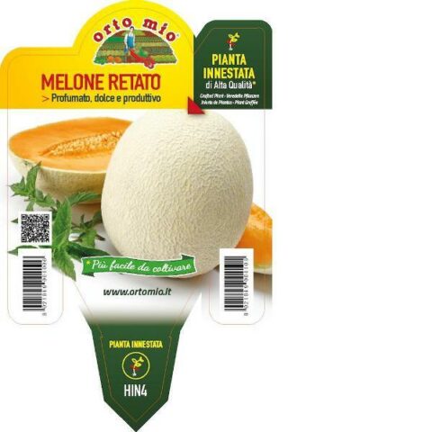 Melone retato dolce F1 innestato [Vaso 14cm]