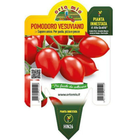 Pomodoro da Appendere vesuviano innestato [Vaso 14cm]