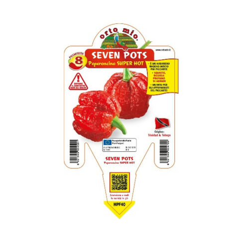 Peperoncino piccante "Seven Pots" [Vaso 14cm]