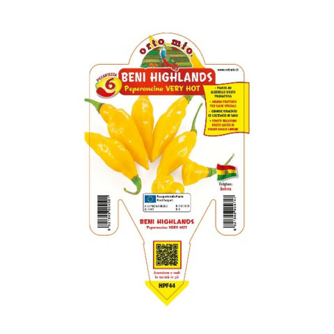 Peperoncino piccante"Beni Highlands" [Vaso 14cm]