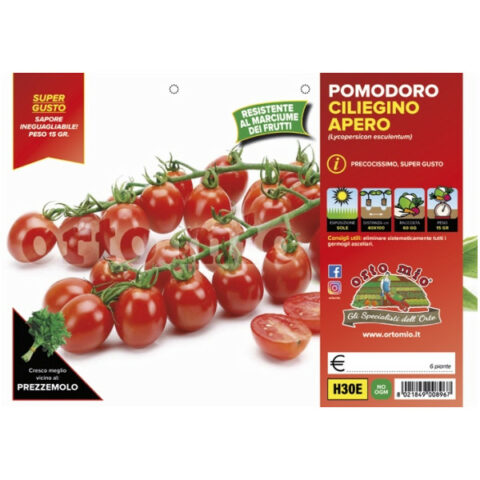 Pomodoro ciliegino dolcissimo "Apero F1" [1 Plateaux da 6]