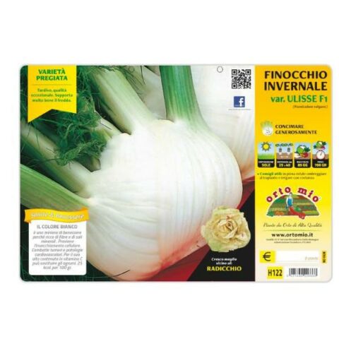 Finocchio invernale "Ulisse F1" [1 Plateaux da 9]