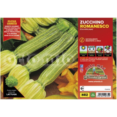 Zucchino romanesco "Floridus F1" [1 Plateaux da 4]
