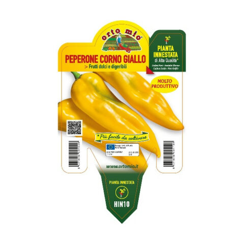Peperone corno giallo F1 innestato [Vaso 14cm]