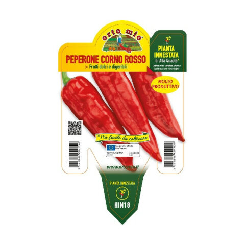 Peperone corno rosso F1 innestato [Vaso 14cm]