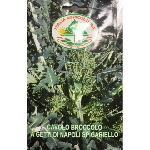 Cavolo broccolo a getti di Napoli Spigariello (Semente)