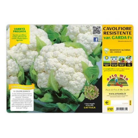 Cavolfiore "Garda F1" [1 Plateaux da 6]