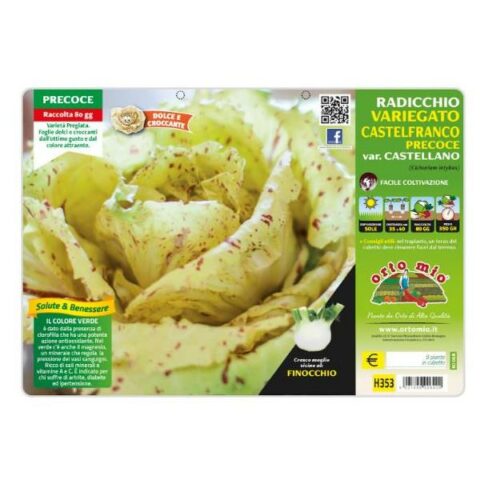 Cicoria e Radicchiovariegato di Castelfranco "Castellano" [1 Plateaux da 9]